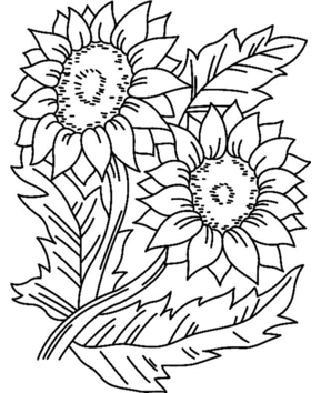 Tournesols 01 - 10doigts.fr