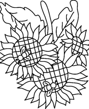 Tournesols 02 - 10doigts.fr