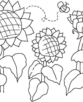 Tournesols 03 - 10doigts.fr