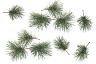 Branches sapin à piquer - Petites décorations de Noël - 10doigts.fr