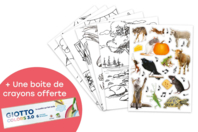 Cartes Fables à colorier + Cadeaux - Kits créatifs gommettes - 10doigts.fr