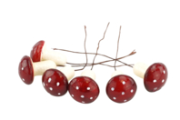 champignons polystyrène - Décors nature - 10doigts.fr