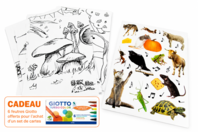 fables cartes - Kits créatifs avec gommettes : le plein d’idées pour les petits artistes - 10doigts.fr