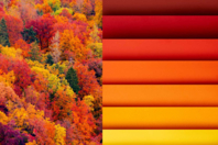 papiers d'automne - Papiers Grands Formats - 10doigts.fr