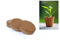 Pastilles de terreau compressé - 12 pièces - Jardinage enfants - 10doigts.fr