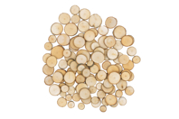 petits bois en rondelle - Décors nature - 10doigts.fr