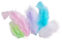 plumes pastel - Plumes décoratives - 10doigts.fr
