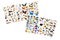 Super pack gommettes animaux réalistes - Gommettes Animaux - 10doigts.fr