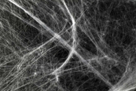 toile araignée halloween déco - Accessoires créatifs Halloween - 10doigts.fr