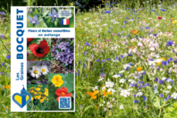 Graines de fleurs et herbes comestibles - Jardinage enfants - 10doigts.fr