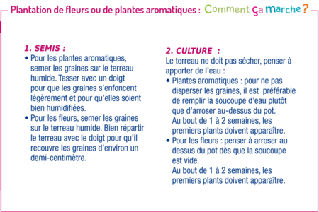 Kit "horticulteur" - Activités manuelles la nature – 10doigts.fr