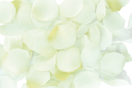 Set de 100 pétales de fleurs en satin 5 cm - 10doigts.fr