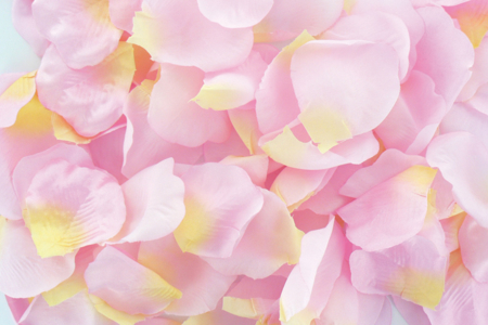 Set de 100 pétales de fleurs en satin 5 cm - 10doigts.fr