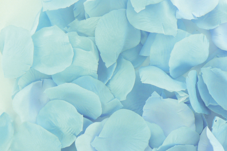 Set de 100 pétales de fleurs en satin 5 cm - 10doigts.fr