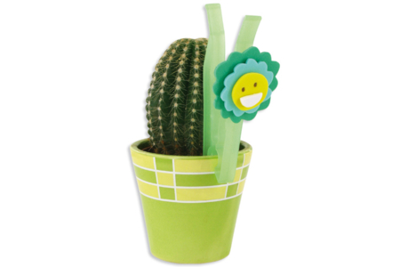 Set de 6 pinces à linge - Accessoires de collage – 10doigts.fr