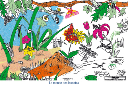 Fresques murales à colorier  - 10doigts.fr