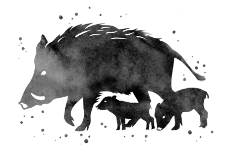 aquarelle encre noire - Encres liquides – 10doigts.fr