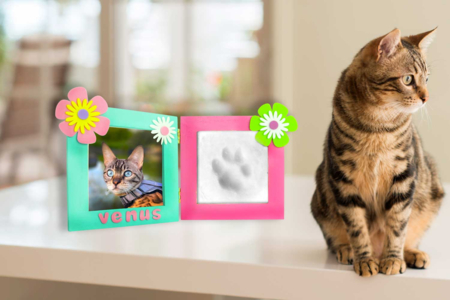 Stickers fleurs en caoutchouc mousse - 400 pcs - Fleurs et feuilles décoratives – 10doigts.fr