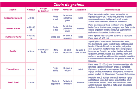 Choisir les graines - Activités manuelles la nature – 10doigts.fr