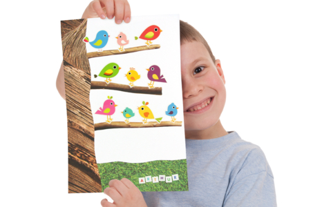 Collage arbre oiseau activité enfants - Activités manuelles animaux – 10doigts.fr