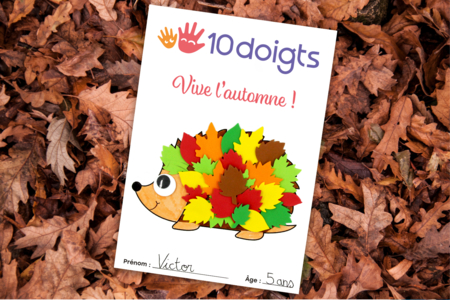 coloriage collage hérisson automne enfants activité - Activités manuelles animaux – 10doigts.fr