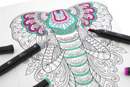 coloriages animaux spécial marqueurs alcoool - Formes et dessins à colorier – 10doigts.fr