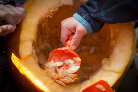 cuillère à citrouille - Kits créatifs Halloween – 10doigts.fr