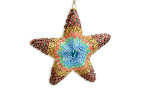 étoile canes - 10doigts.fr