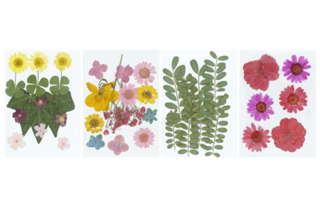 Fleurs et feuilles séchées - environ 40 pièces - Fleurs séchées, pommes de pin – 10doigts.fr