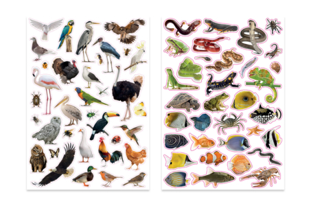 Gommettes Animal Sauvage Realiste - Gommettes Animaux – 10doigts.fr