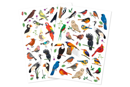 Gommettes "Oiseaux du Monde" - 1 set (2 planches) - Gommettes Animaux – 10doigts.fr