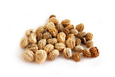 graines capucine à planter - Jardinage enfants – 10doigts.fr