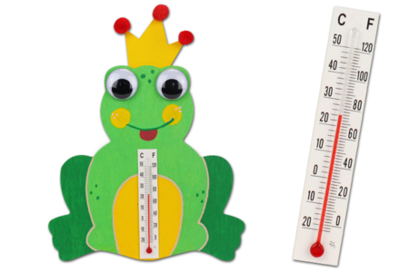kit grenouille météo - Kits animaux et nature – 10doigts.fr
