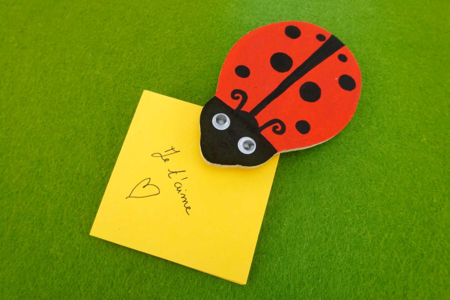 Kit Pense-Bête Coccinelle rouge - Blocs notes – 10doigts.fr