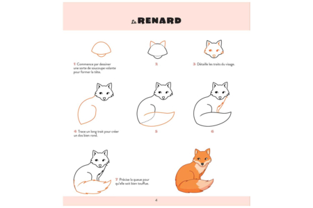 livre apprendre à dessiner les animaux - Livres de coloriage et dessins – 10doigts.fr