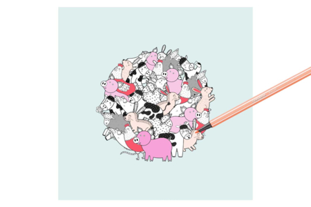 livre mandala animaux - Formes et dessins à colorier – 10doigts.fr