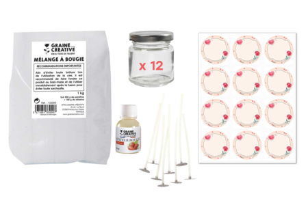 materiel Kit bougies à la fraise - 12 bougies - Livres et Kits Bougies – 10doigts.fr