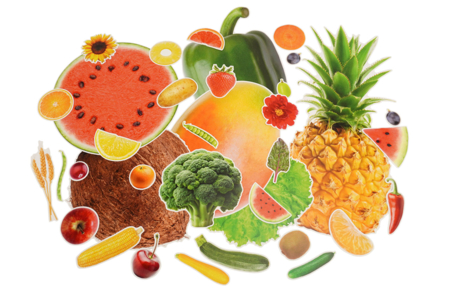 Mega set 150 fruits et légumes réalistes en carte forte  - Kits éducatifs – 10doigts.fr