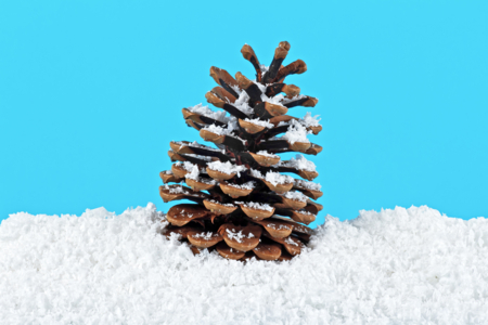 neige décorative - Paillettes à saupoudrer – 10doigts.fr