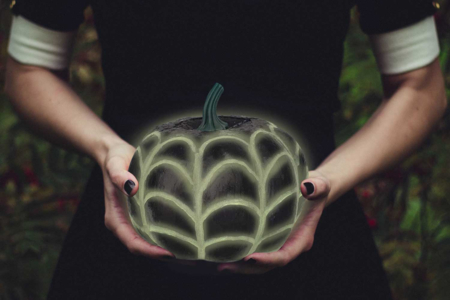 peinture brille dans le noir - Peinture fluo, phosphorescent – 10doigts.fr