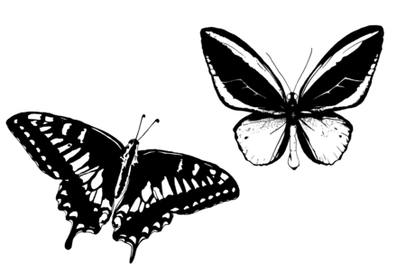 peinture encre de chine - Encres liquides – 10doigts.fr