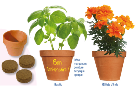 Planter fleurs ou plantes aromatiques : comment ça marche ? - Activités manuelles la nature – 10doigts.fr