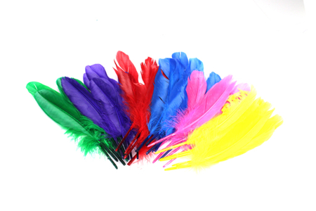 plumes 20cm - Plumes décoratives – 10doigts.fr