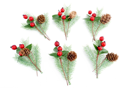 Set de 6 branches de sapin, 6 branches de houx et 6 pommes de pin - Déco Noël Nature – 10doigts.fr