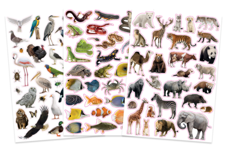 Set de 96 gommettes animaux réalistes  - Gommettes Animaux – 10doigts.fr