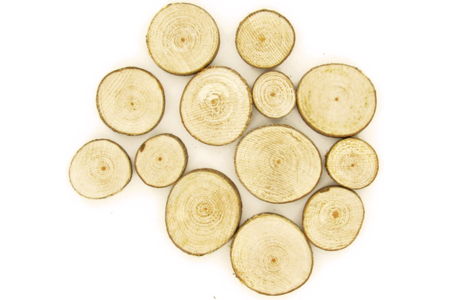 Set d’environ 10 rondelles rondes en bois (ø assortis de 2,5 à 5 cm - Epaisseur : 8 mm) - Décors nature – 10doigts.fr