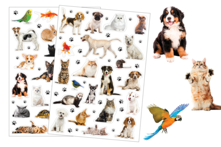 stickers animaux domestique - Gommettes Réalistes – 10doigts.fr