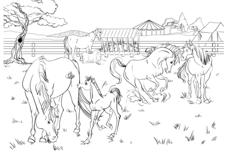 Coloriage Animaux-ferme10 – 10doigts.fr