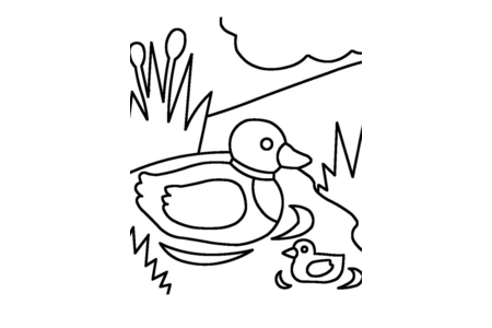 Coloriage Canard23 – 10doigts.fr