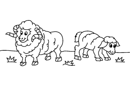 Coloriage Mouton 03 – 10doigts.fr